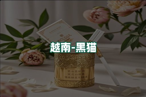 越南黑猫